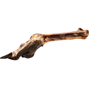 Krmivo pro psa Trixie Pštrosí noha se šlachou a pařátem - 1 ks