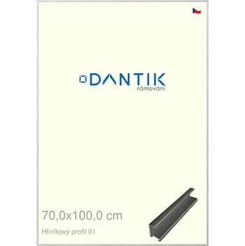 Rám na obraz DANTIK rámeček 70x100 | ALU profil 7001 Stříbrná lesklá (Plexi Čiré) (Vyrobeno s láskou u nás v DANTIKU)