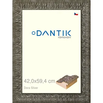 Rám na obraz DANTIK rámeček 42x59,4 | Dora Silver (Plexi Čiré) (Vyrobeno s láskou u nás v DANTIKU)