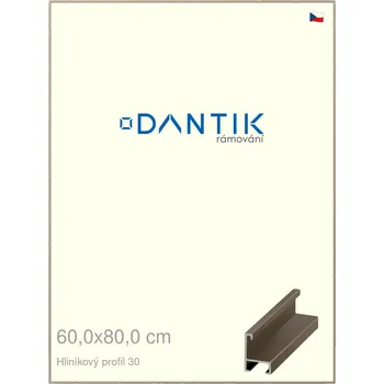 Rám na obraz DANTIK rámeček 60x80 | ALU profil 6030 champagne (Plexi Čiré) (Vyrobeno s láskou u nás v DANTIKU)