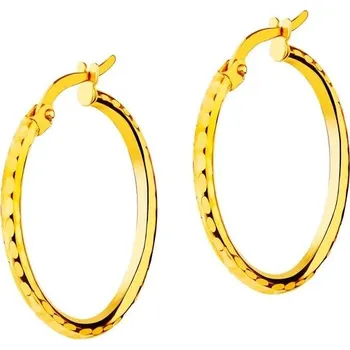 Náušnice Zlaté náušnice - kruhy, 24 mm - AP534-7971