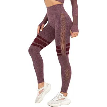 Dámské legíny TOPKO PRODUCT GROUP LTD Bezešvé dámské sportovní legíny s vysokým pasem Barva: Vínová, Velikost: L