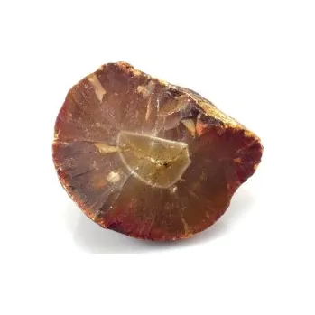 Karneol surový / 3615