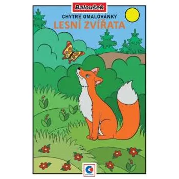 omalovánky Omalovánky A5 - Lesní zvířata