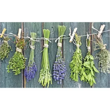 Obklad Obkladový panel do kuchyně mySpotti Profix provensálské bylinky 100 x 60 cm PX-10060-207-HB