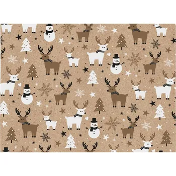 Balící papír MFP balicí papír vánoční KRAFT V299 100x70 5811826