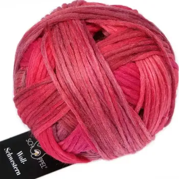 Příze Schoppel Wolle Woll-Schwestern 2646 Berta (Merino vlna Woll-Schwestern 2646 Berta)