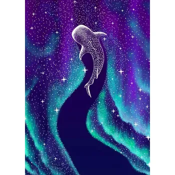 Plakát Plakát, Obraz - Star Eater In Northern Lights, Aliriza Cakir