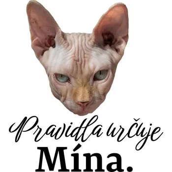 Party dekorace Tetovačky s mazlíčky č.3 (12 ks)