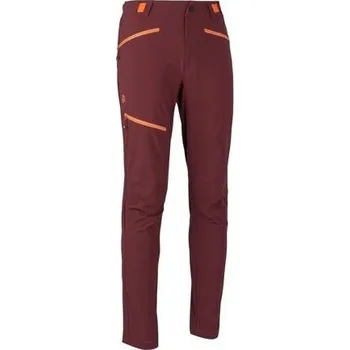 Pánské kalhoty Kalhoty TERNUA ROTOR PT M Man velikost L