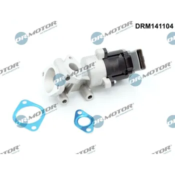 Turbodmychadlo AGR-Ventil Dr.Motor Automotive DRM141104