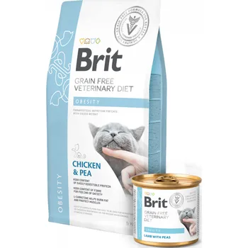 Volný čas Brit VD Cat GF konz. Obesity 200g (min. odběr 12 ks)