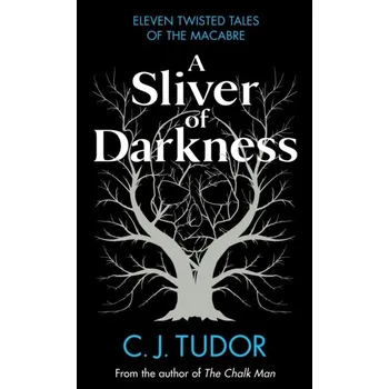 Beletrie pro dospělé A Sliver of Darkness - C.J. Tudor
