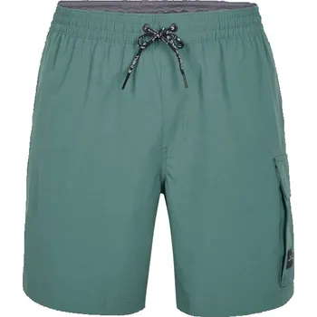 Pánské plavky Pánské koupací šortky O'Neill ALL DAY S Tmavě zelená