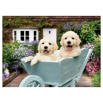 Puzzle ANATOLIAN Puzzle Štěňata ve vozíku 260 dílků