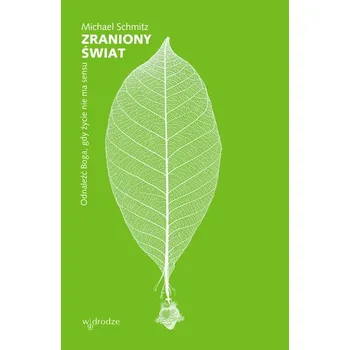 Zraniony świat. Odnaleźć Boga, gdy życie nie ma sensu - Schmitz, Michael