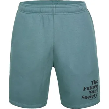 Pánské kraťasy Pánské šortky O'Neill FUTURE SURF L Zelená