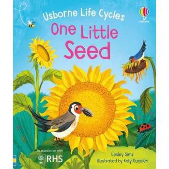 One Little Seed - Lesley Sims