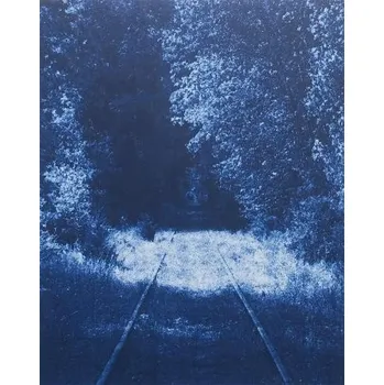 Cizojazyčná kniha Ecstatic Nature