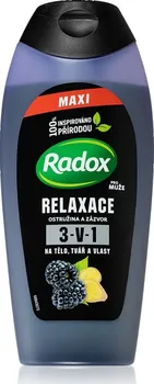 Sprchový gel Radox Relaxace ostružina a zázvor 3v1 sprchový gel pro muže