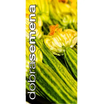 Semeno DOBRÁ SEMENA BIO CUKETA COSTATA ROMNESCA 10 s