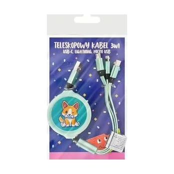 Set školních potřeb Brelok z kabelkami do ładowania zielony 3w1