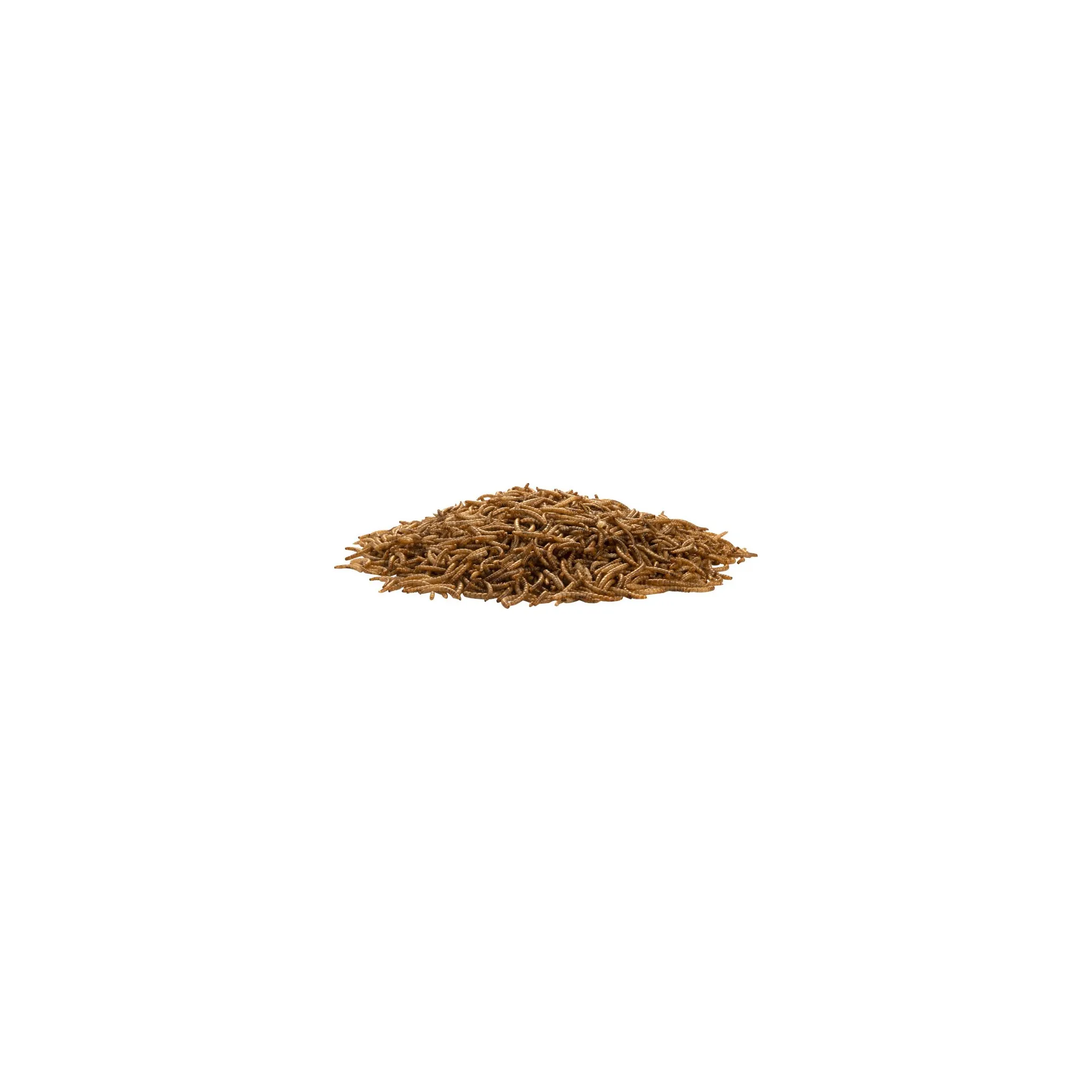 Fotografie 2 - Krmivo pro ptáka UGF Sušení mouční červi 250 g