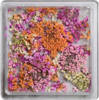 DENATO s.r.o. Sušené květy 14