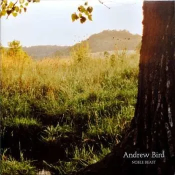 Zahraniční hudba 2LP Andrew Bird: Noble Beast 2009 Gatefold Vinyl