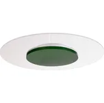 Deko-Light Stropní svítidlo Zaniah LED, 360° světlo, 24 W, zelené listově zelená, průhledná LED 24 W celkem - Doprava zdarma