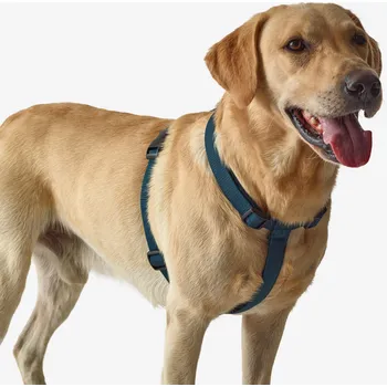 Postroj pro psa SOLOGNAC Postroj pro psa 100 L MODRÁ|ZELENÁ