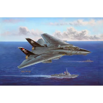 Plastikový model Grumman F-14B Tomcat - Hobby Boss 80367