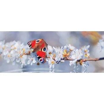 Fototapeta Vliesové fototapety motýl IMPOL TRADE 013VEP