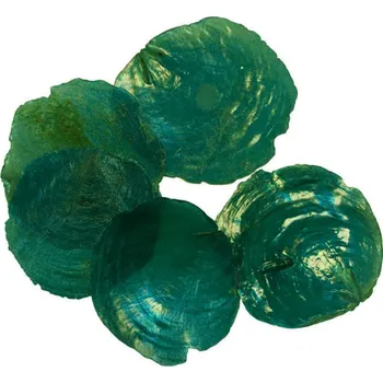 Mušle capiz perleť zeleno-modré - 45 g
