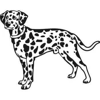samolepka Samolepka Dalmatin