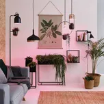 Paulmann LED lampa na rostliny E27 R80 6,5W