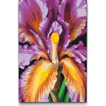 Malování podle čísel - Květ kosatce Velikost: 40x60cm, Rámování: Pouze srolované plátno