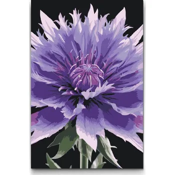 Malování podle čísel - Květ chrpy Velikost: 20x30cm, Rámování: Pouze srolované plátno