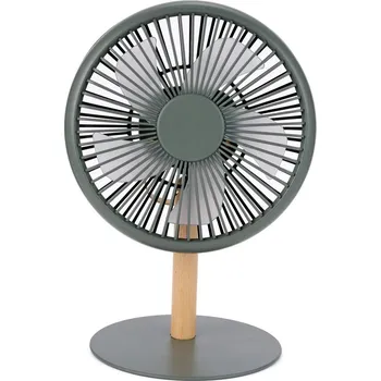 Čtecí lampička Zelená stolní lampa s ventilátorem na dálkové ovládání (výška 26 cm) Beyond – Gingko ID_1527908