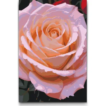 Malování podle čísel - Květ růže Velikost: 20x30cm, Rámování: Pouze srolované plátno