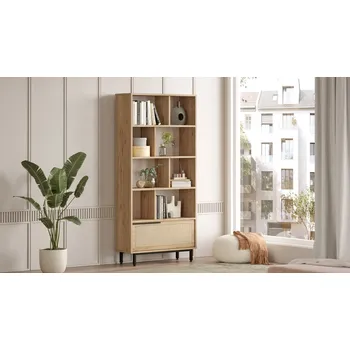 Knihovna ASIR Knihovna ON4, dub