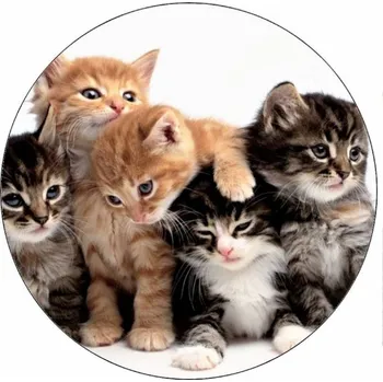 Jedlá dekorace na dort Jedlý papír koťata 19,5 cm