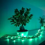 twinkly Třpytivá pohádková světla RGB, černá, 250 světel 20 m - Celková délka 2250 cm; délka přívodního kabelu 250 cm; vzdálenost mezi světelnými body 8 cm 250 LED diod - celkem 19 W - Doprava zdarma