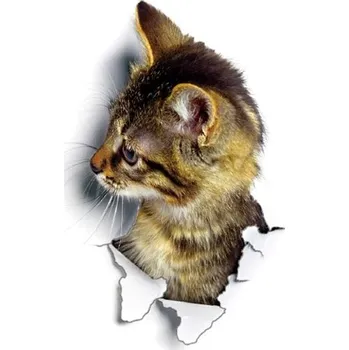 Samolepící dekorace Nálepka na zeď | 3D samolepka na zeď kočka - 6