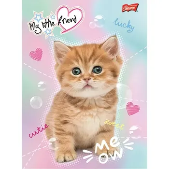 Sešit Sešit A5 My Little Friend kočka pastel linkovaný