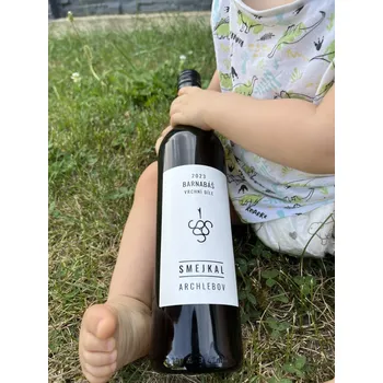 Víno Barnabáš 2023, moravské zemské víno, SMEJKAL wine, suché