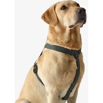 Postroj pro psa SOLOGNAC Postroj pro psa 100 S KAŠTANOVÁ|ZELENÁ