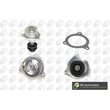 Vodní pumpa motoru Vodní čerpadlo, , 1089795, 1229571, 1479208, 1798955, 256G8591AA, 2S6G8591AA, 2SG8591AA, X56E8501AD, XS6E8501AD, BGA, CP7208T