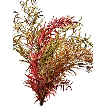 umělá květina Stabilizovaný eukalyptus globulus (Nicoly), kytice/svazek mix barev 70g