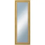 DANTIK - Zrcadlo v rámu 50x 140 | KŘÍDLO velké zlaté patina
